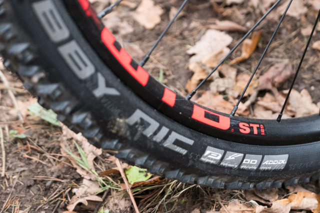 Vitus-Sentier-29-VR-2019-review-107.jpg