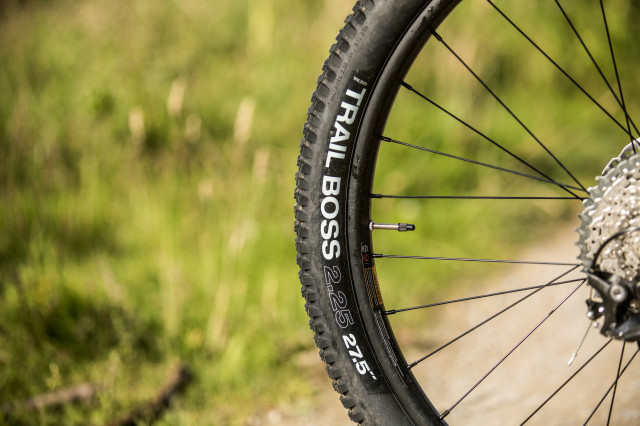 Vitus-Sommet-VR-101.jpg