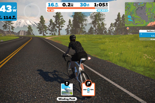 Zwift-MTB-steering-105.jpg