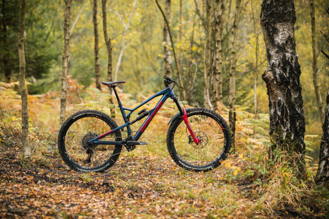 Nukeproof Mega 275 Carbon RS Detail whole bike