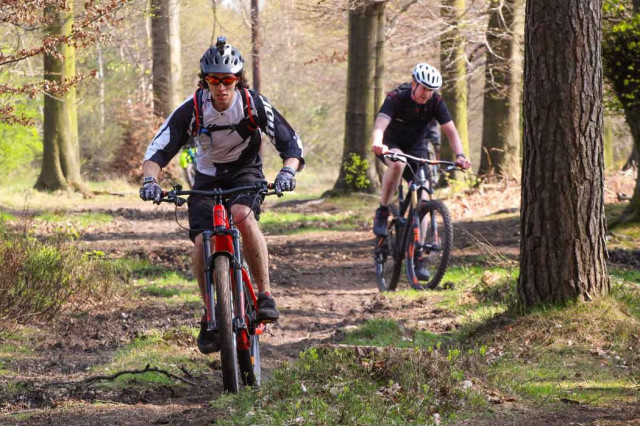 bike live 5.jpg