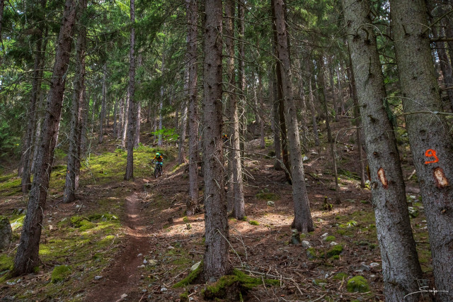 enduro2-les-arcs-5.jpg
