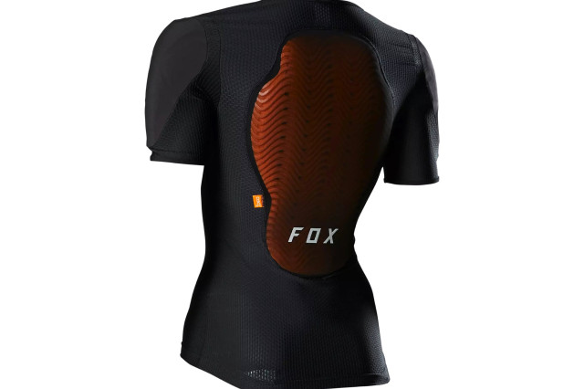 foxarmourback.jpg