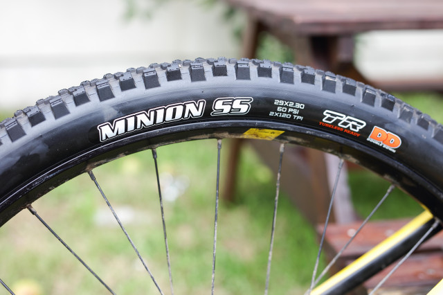 maxxis minion ss dd logo.jpg