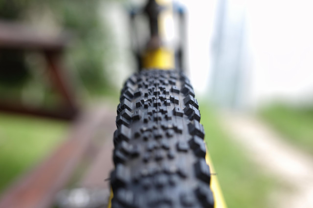 maxxis minion ss dd rear.jpg