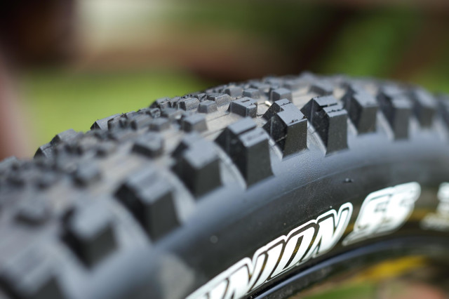 maxxis minion ss dd shoulder.jpg