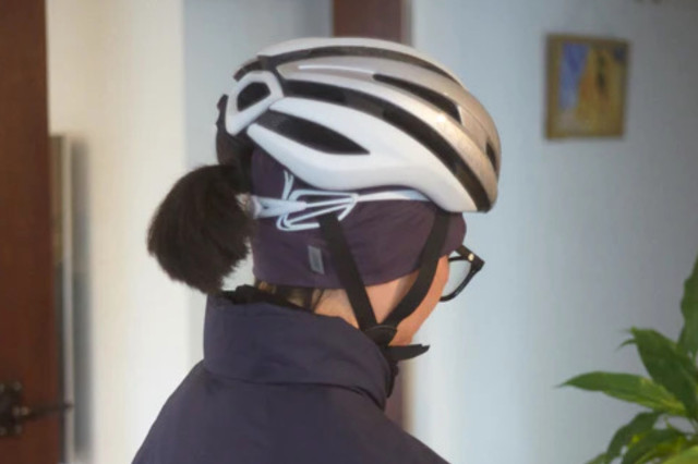 merino3.JPG