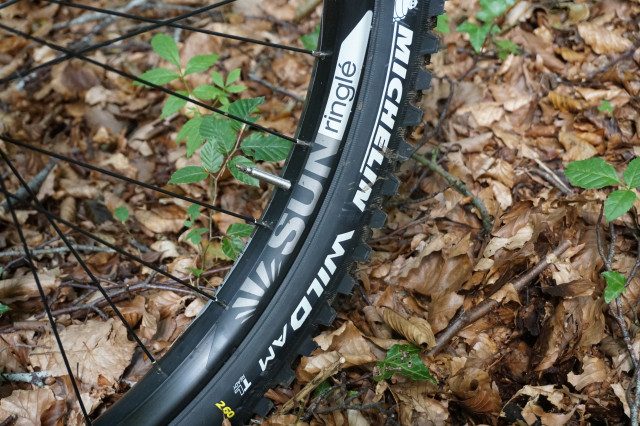 rockrider am10044.JPG