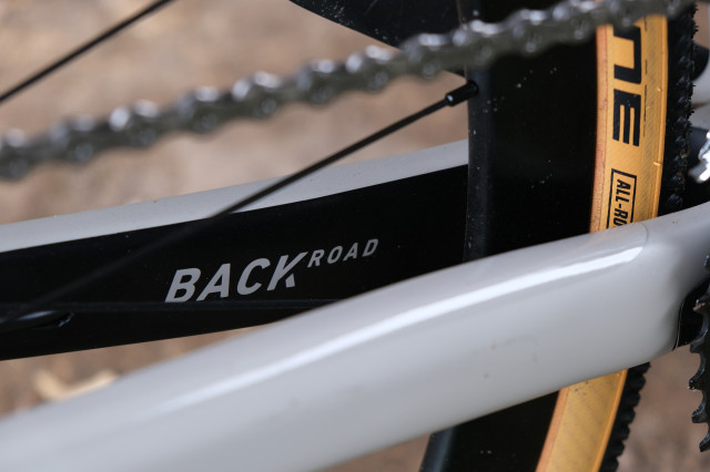 rose backroad12.JPG
