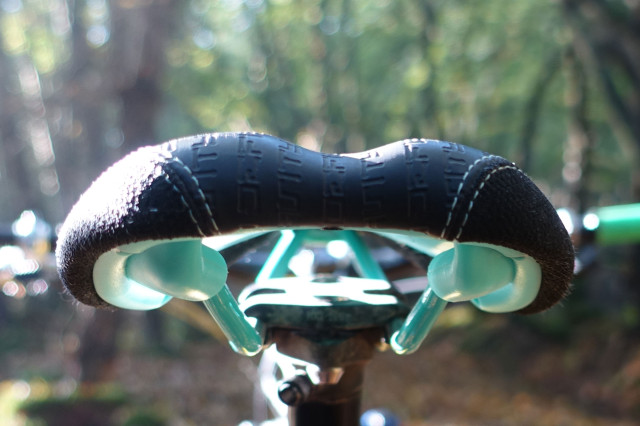 sdg-fly-mtn-rear.jpg