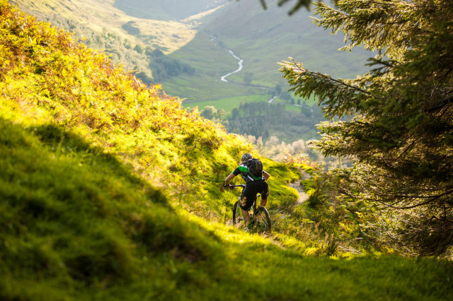 Steve Thomas autumn riding 6