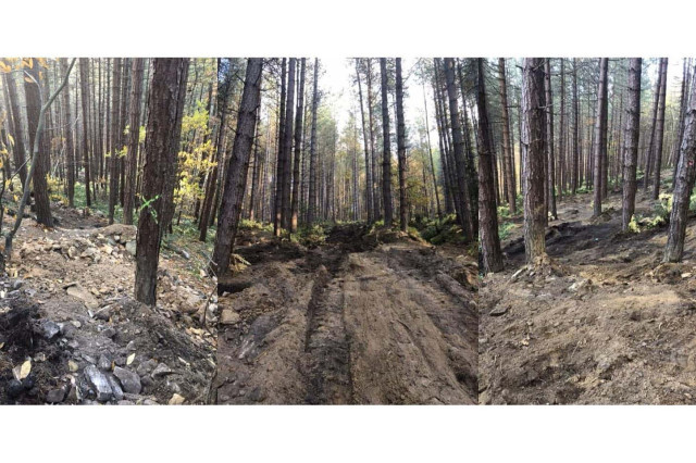 wharncliffe-destruction.jpg
