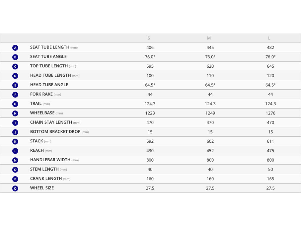 2020 Giant Reign E+ geo sheet copy