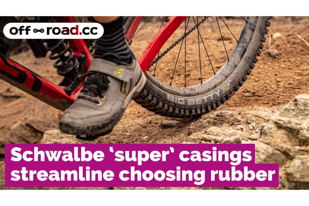 2021 Schwalbe header copy.jpg