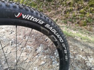 Vittoria Saguaro TLR tyre review