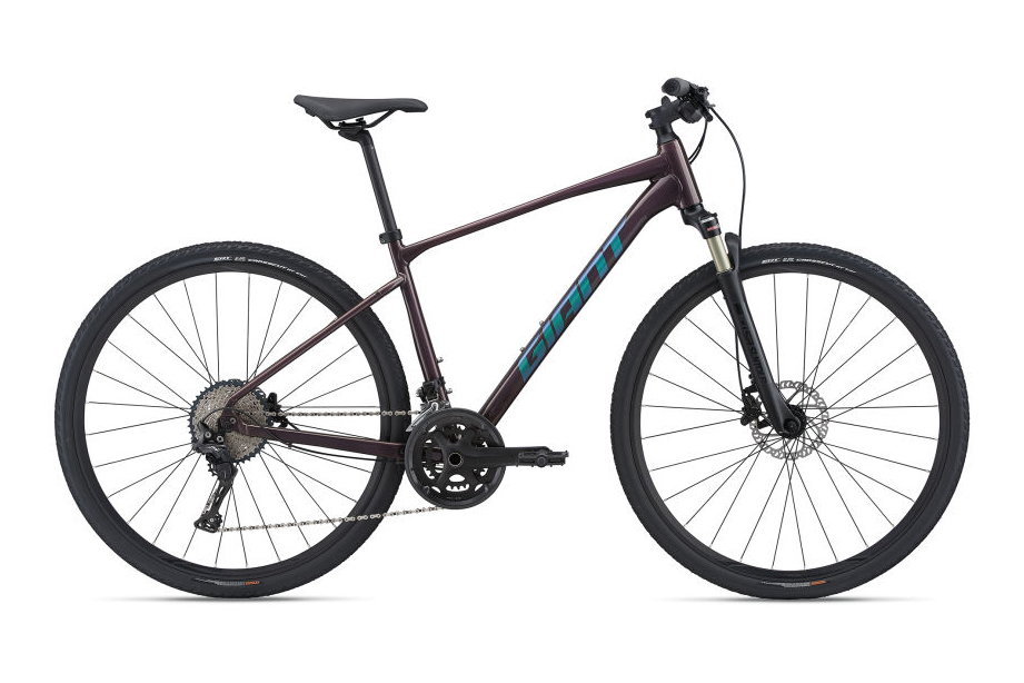 2021 giant roam 0 disc