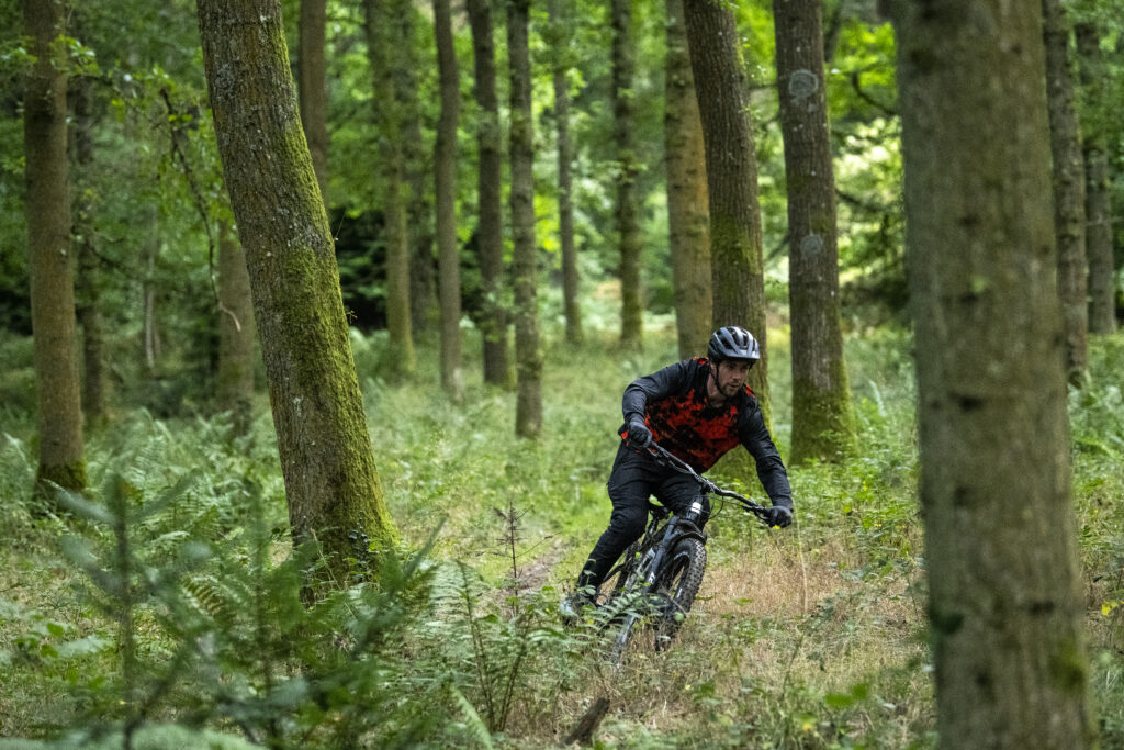 2021 marin rift zone 27.5 forest