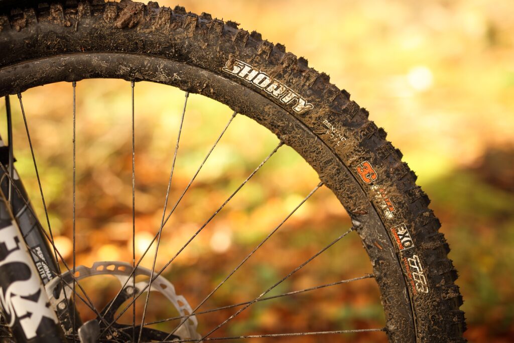 2021 maxxis shorty gen 2 hero.jpg
