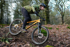 Ragley Marley 1.0 review