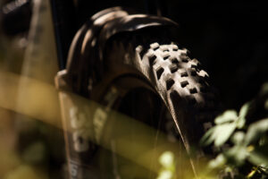 Goodyear Newton MTF 2.5in Enduro tyre review