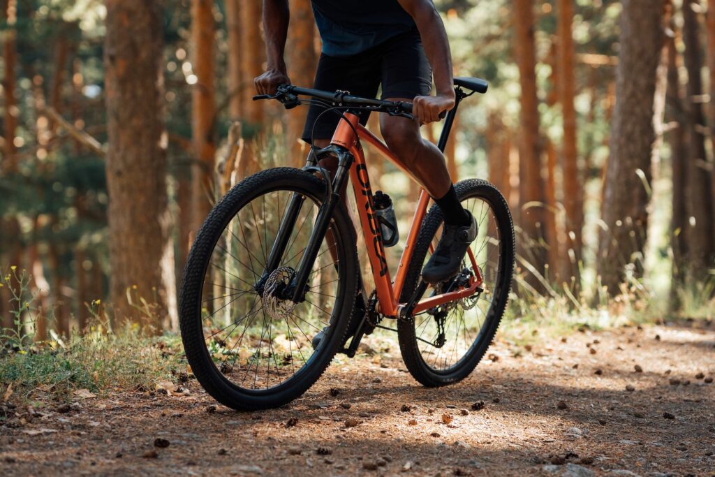 2022 orbea onna action.jpeg