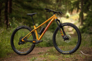 2022 Santa Cruz Chameleon R AL 29 review