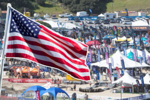 2022 sea otter.jpg