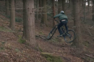 2022 stumpy shreds cover.jpg