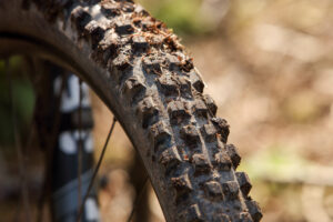 WTB Verdict 2.5&Prime; TCS Light High Grip tyre review