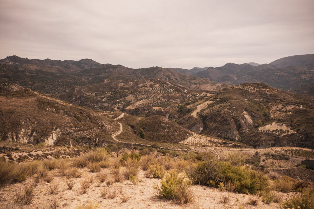 2023 Badlands Bradley Shenton copyright @albertoviciana8