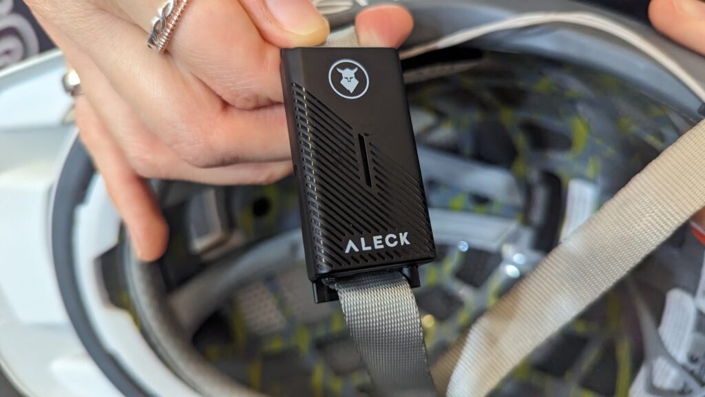 2023 alecks punks