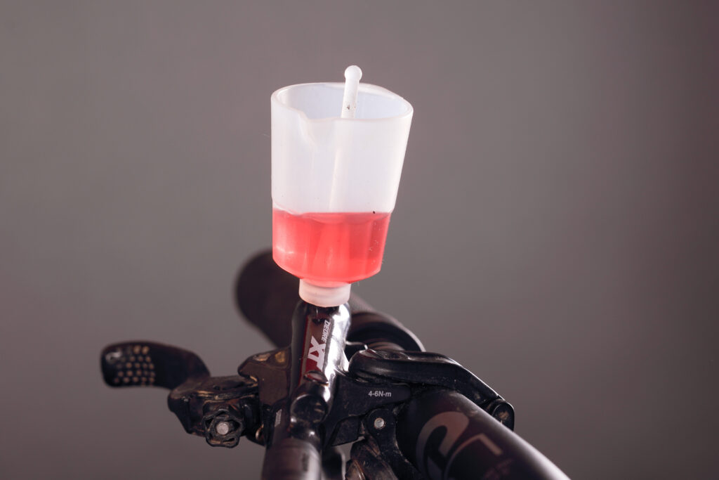 2023 shimano cup with cap