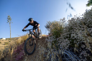 2024 Giant Stance trail mtb4.jpg