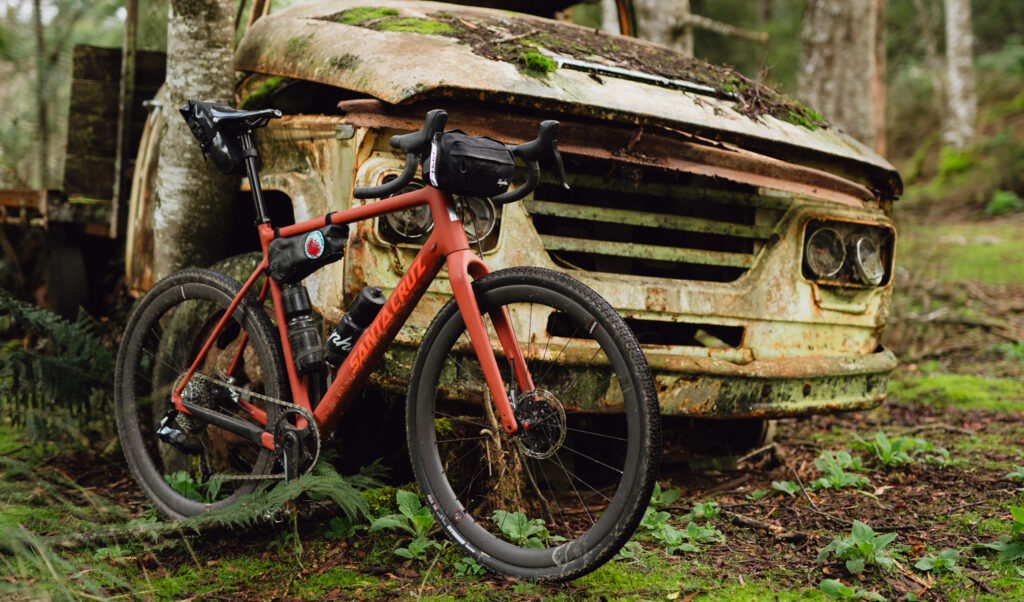 2024 Santa Cruz Stigmata