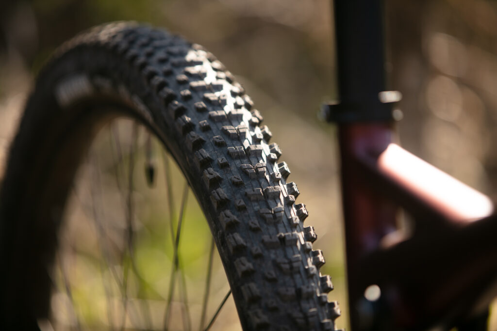 2024 boardman mtr tyre