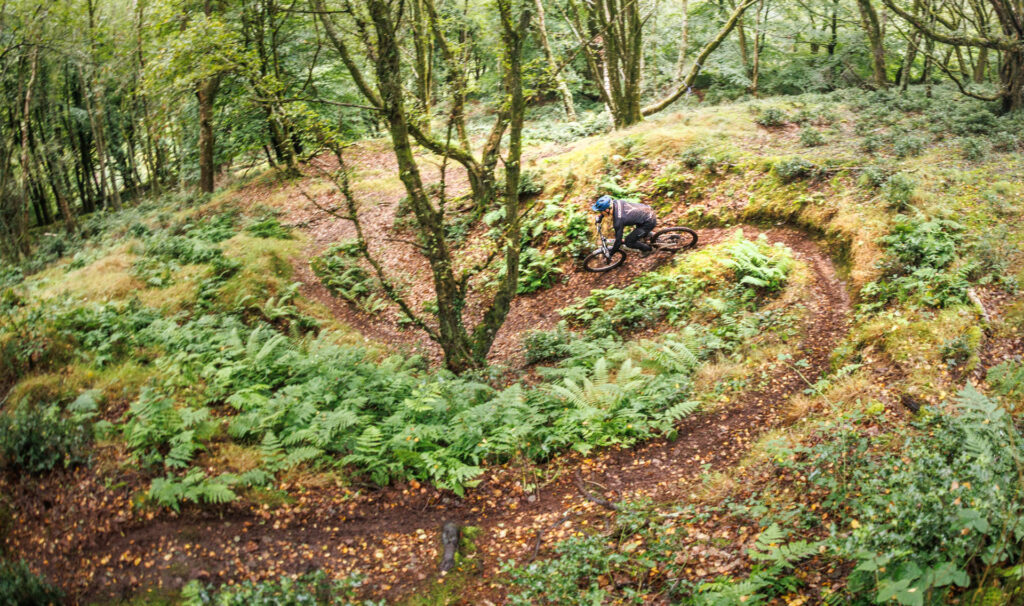 2024 ex enduro3.jpg