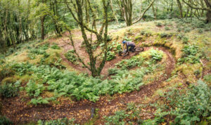 2024 ex enduro3.jpg