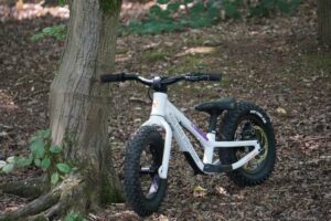 Kids Ride Shotgun Dirt Hero kids bike review