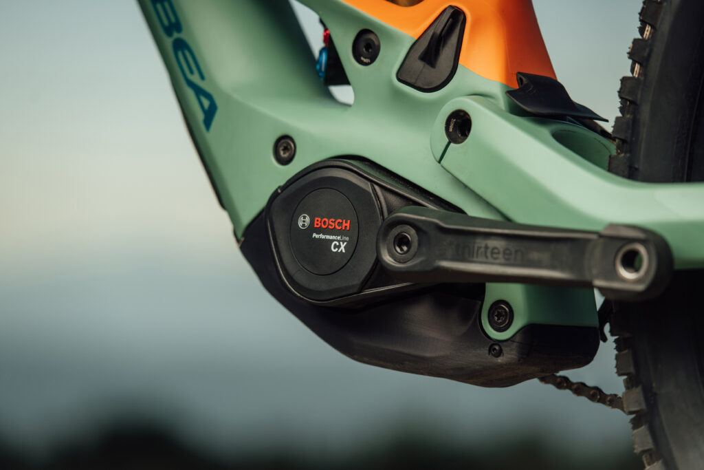 2024 orbea wild motor