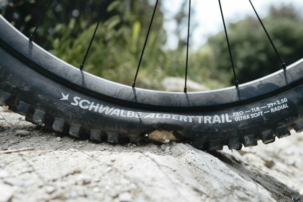 2024 schwalbe albert hero.jpg