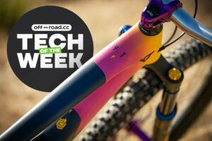 2024 totw cover 10.08.24.jpg