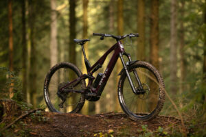 2024 whyte e lyte evo RS hero.jpg