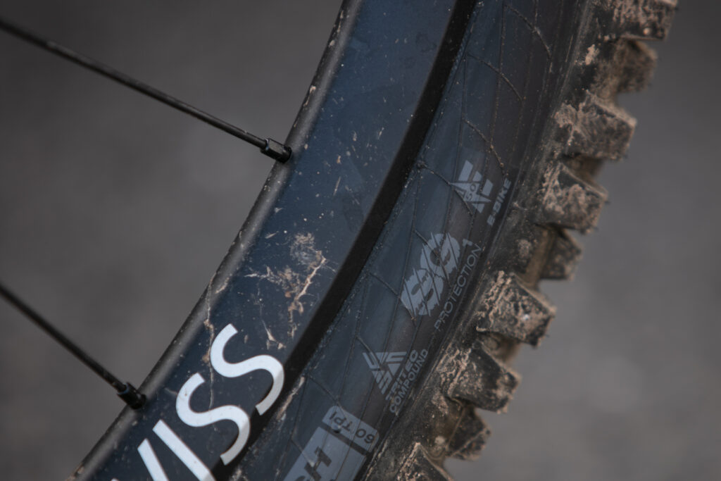2024 wtb judge sg1.jpg