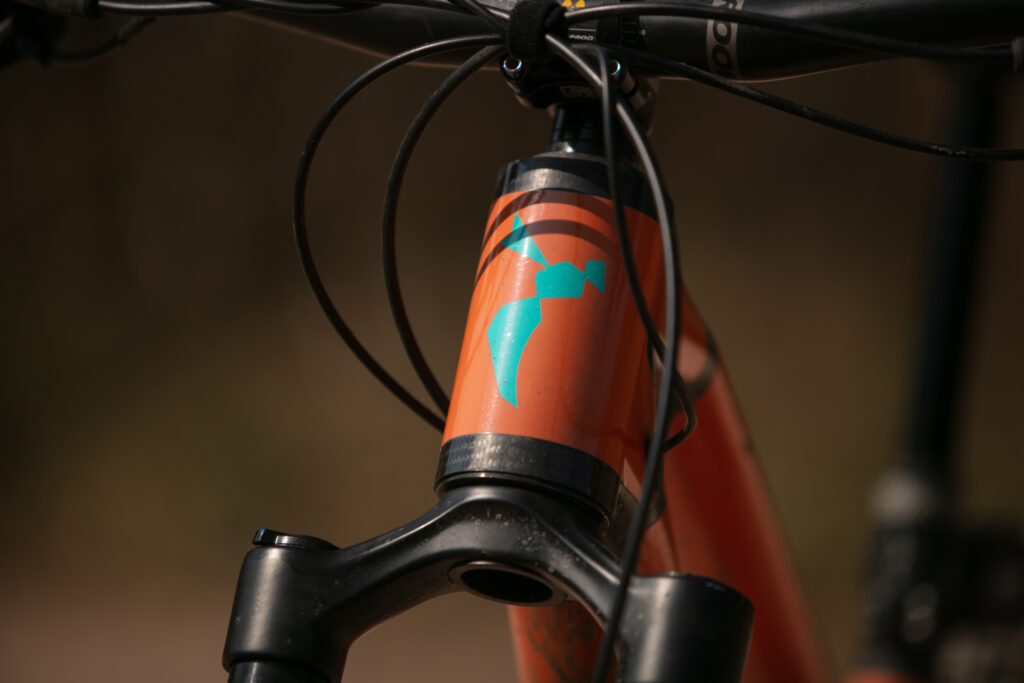 2025 carbon wasp gearbox headtube