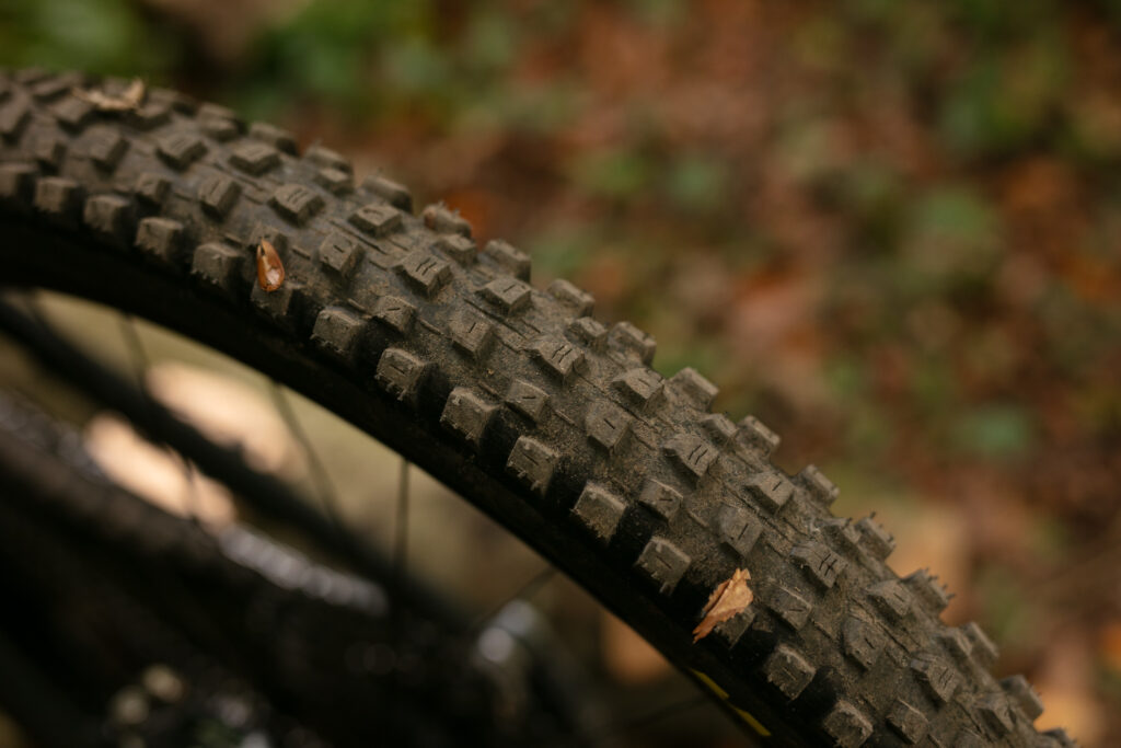 2025 maxxis dissector 5ct