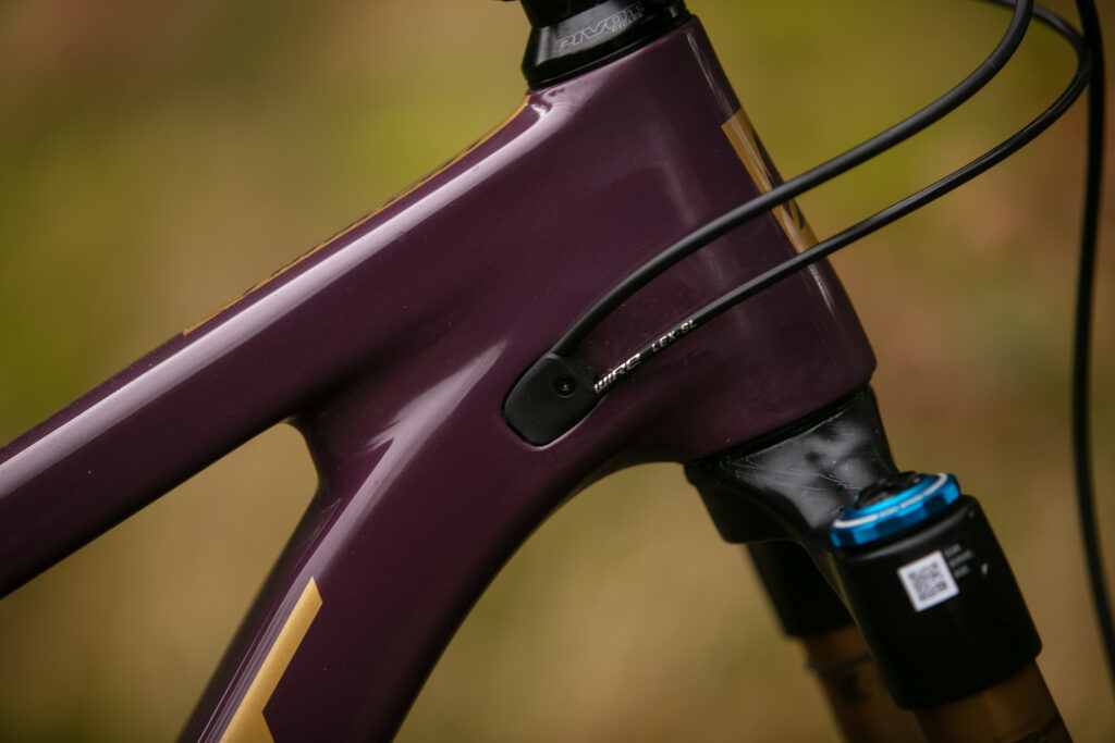 2025 pivot trailcat lt ports