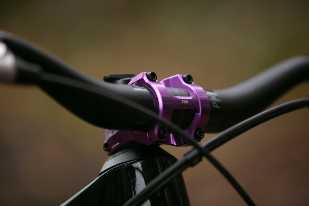 2025 pnw loam stem hero.jpg