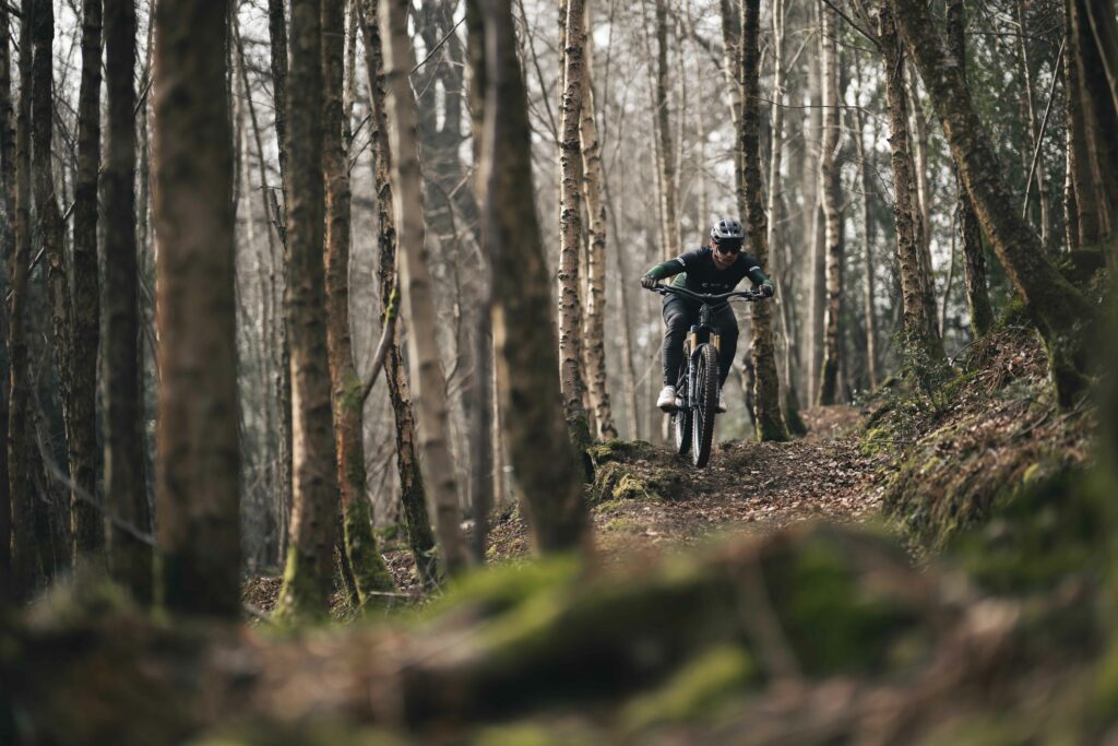 2025 yt industries decoy 29 sn riding 4