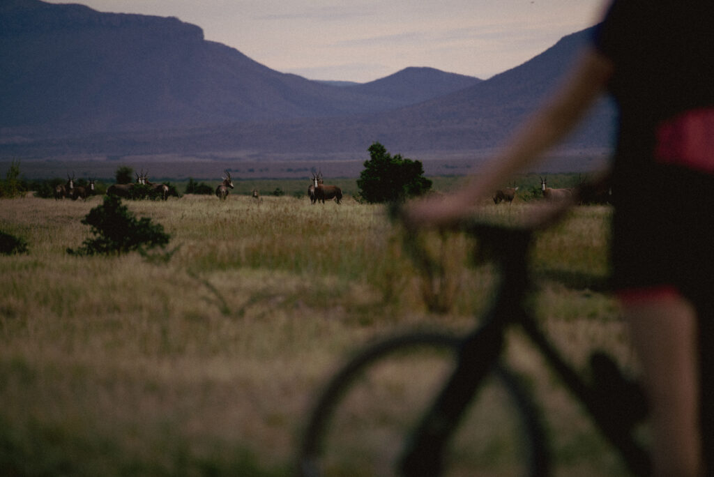 2022 Great Karoo Escape hero