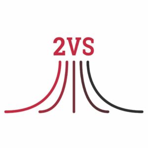 2vs.jpg